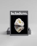 Buy Arte Heladero 205