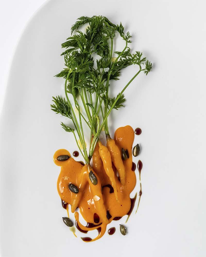 saber y sabor 188