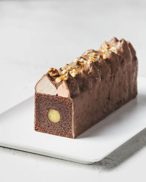 Cocoa book by Damien Wager. Petit Gateaux, Macarons, Tarts, Snacks, Macarons, Vegan creations and Travel-Cakes recipes 2