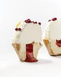 Arte Heladero 210. Best ice cream magazine with ice cream recipes