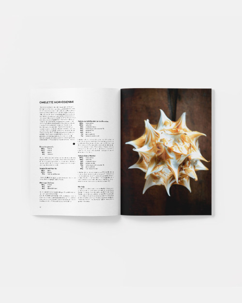 Arte Heladero 210. Best ice cream magazine with ice cream recipes 2