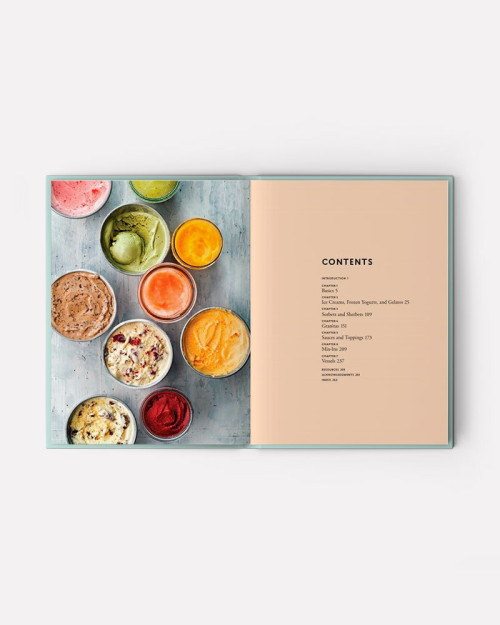 best ice cream book with ice cream recipes. The Perfect Scoop book by David Lebovitz 2