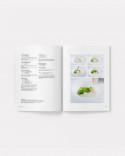 saber y sabor 192. mejor revista de alta cocina. recetas gastronomicas. recetas de alta cocina