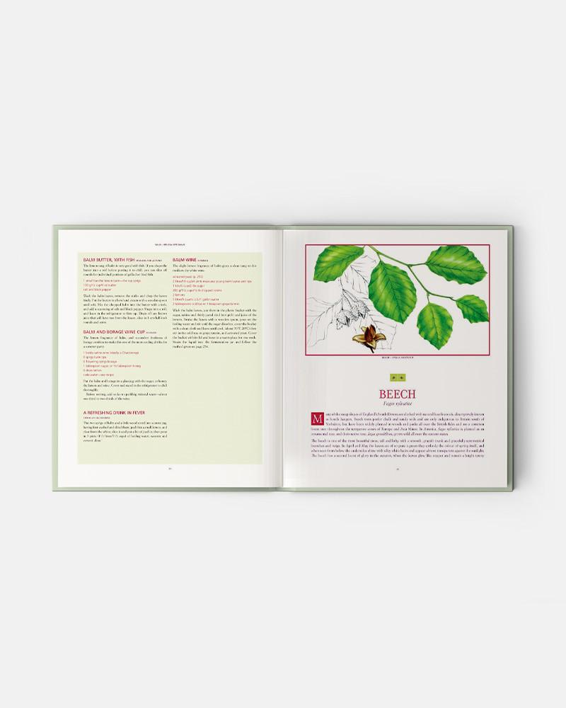 Edible Wild Plants and Herbs book: A compendium of recipes and remedies, Books for Chefs