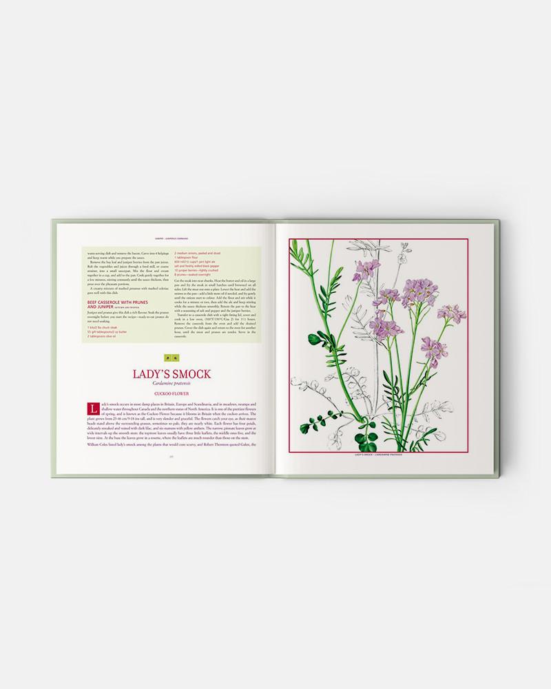 Edible Wild Plants and Herbs book: A compendium of recipes and remedies, Books for Chefs