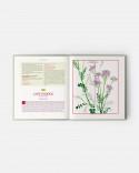 Edible Wild Plants and Herbs book: A compendium of recipes and remedies, Books for Chefs