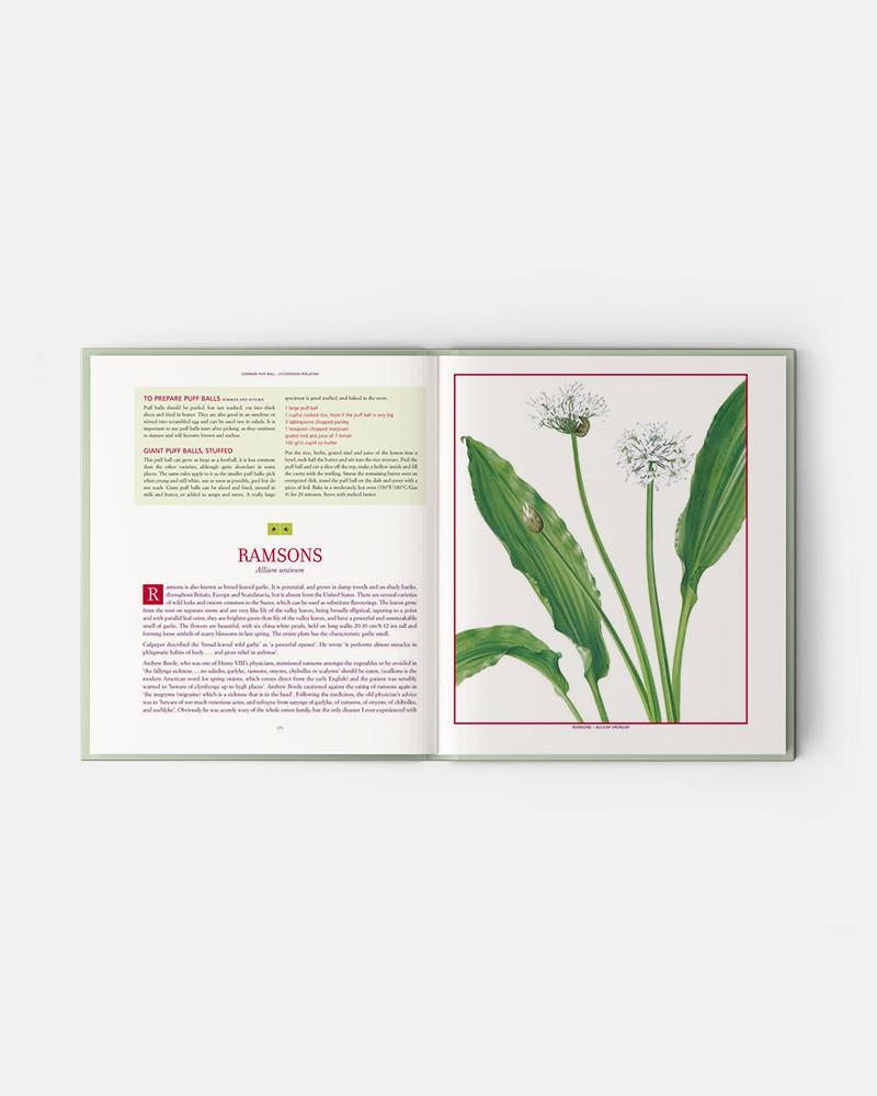 Edible Wild Plants and Herbs book: A compendium of recipes and remedies, Books for Chefs