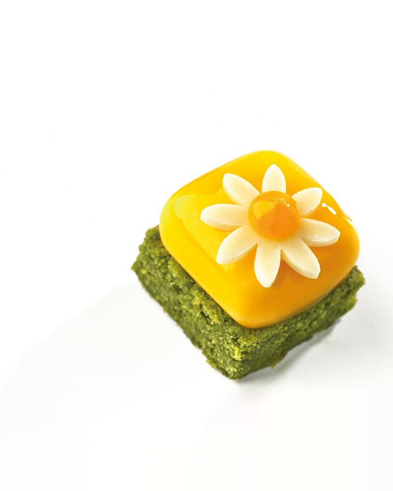 Molde Micro Gem 5 - mini de Xavi Donnay, disponible en Books for Chefs