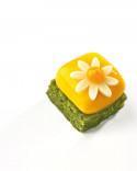 Molde Micro Gem 5 - mini de Xavi Donnay, disponible en Books for Chefs