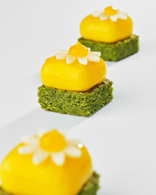 Molde Micro Gem 5 - mini de Xavi Donnay, disponible en Books for Chefs 2