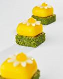 Mold Micro Gem 5 from Mini book. Mini molds. Mini xavi donnay mold
