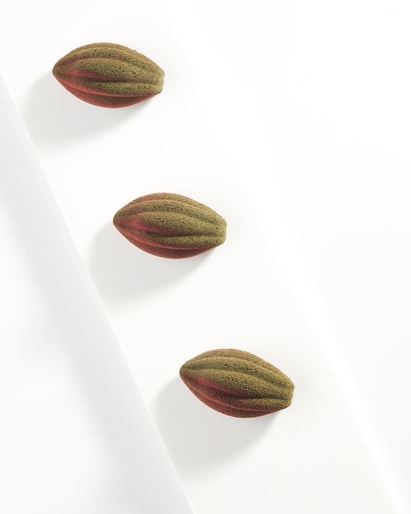 Molde Cacao XS12 del libro mini de Xavi Donnay