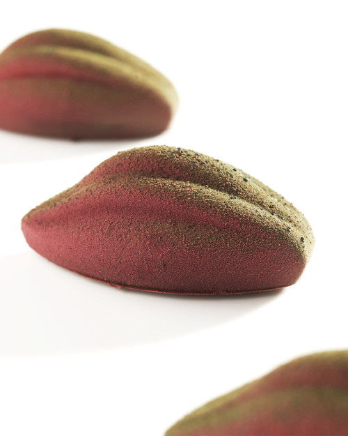 Mold Cacao XS12 from mini Book. Xavi Donnay mold 2