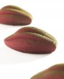 Mold Cacao XS12 from mini Book. Xavi Donnay mold