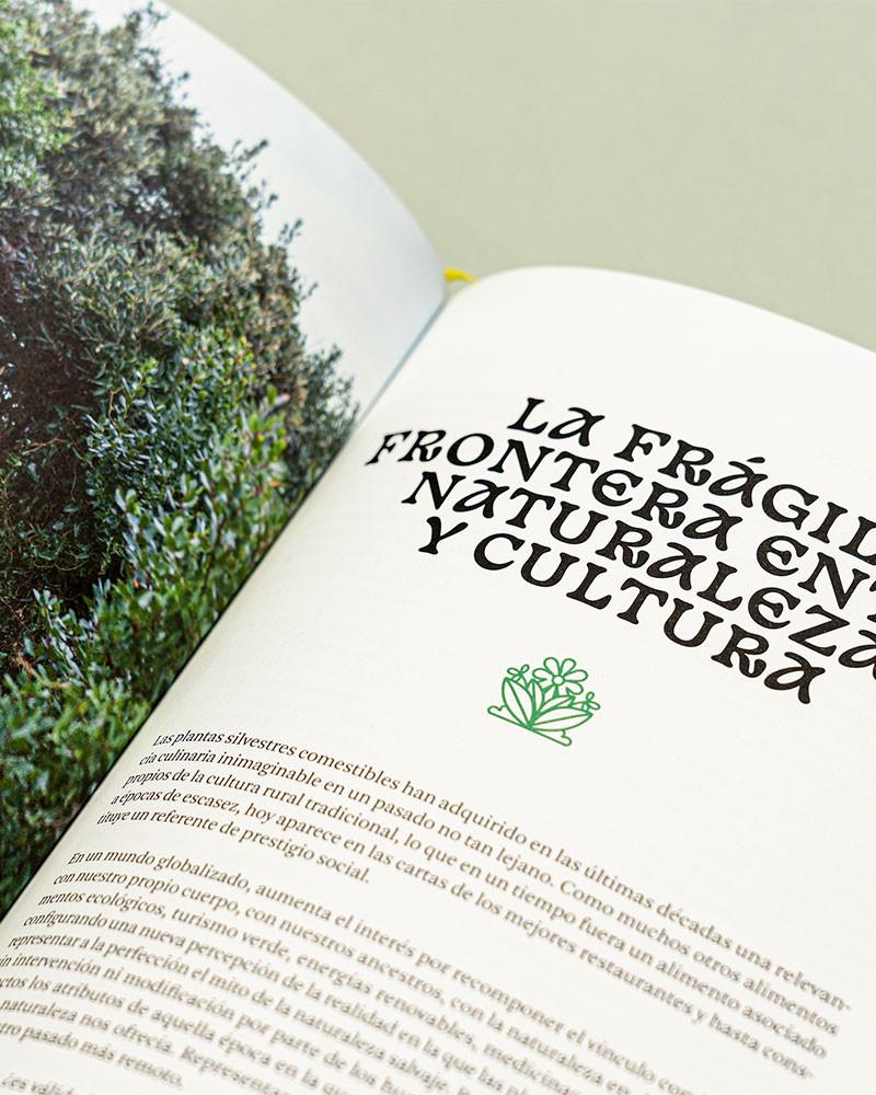 Silvestre de Basque Culinary Center
