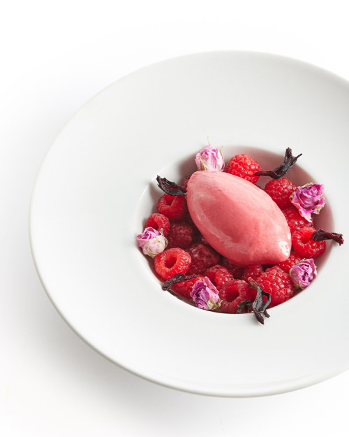 arte heladero 213. arte heladero magazine. Best ice cream magazine, ice cream recipes. ice cream books, ice cream subscription 2