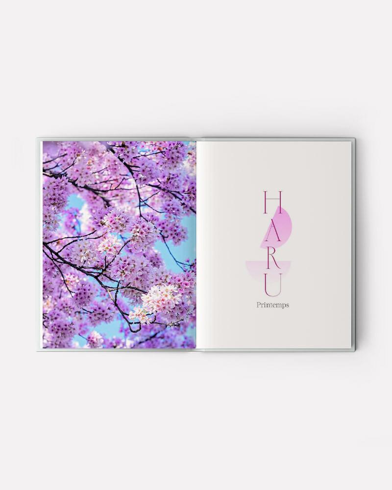 Douceurs japonaises. 72 mochis, daifuku, dango et taiyaki pour célébrer les saisons (Kyûreki). Livre de Mathilda Motte