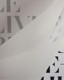 Le Livre Blanc d'Anne Sophie Pic book