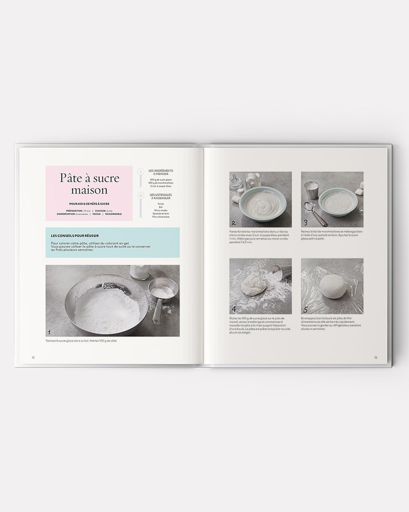 Cake Design Premiers Pas livre de Sally Francois