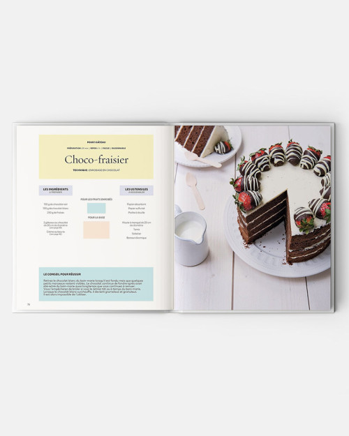 Cake Design Premiers Pas livre de Sally Francois 2