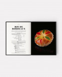 Le Grand Livre de la Boulangerie & de la Viennoiserie