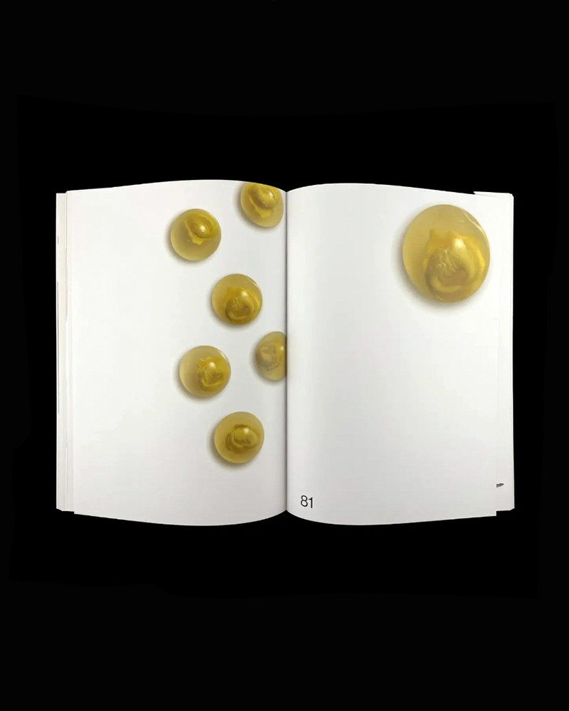 Bob Noto libro