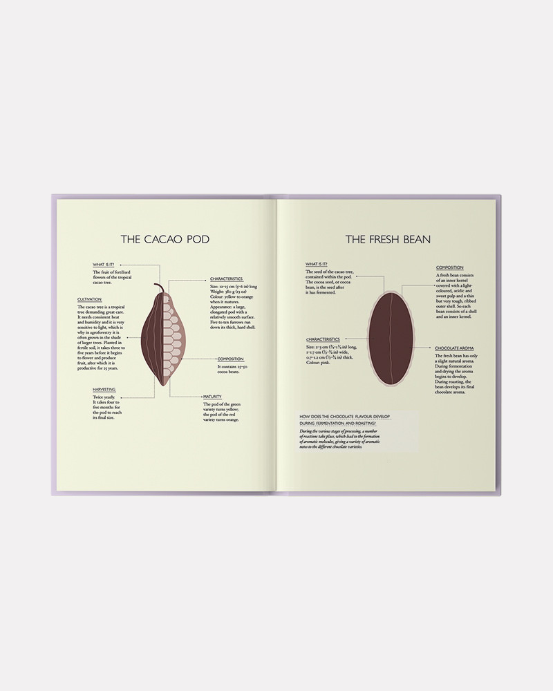 The Little Book of Chocolate: Sweet Treats: Make Your Own Chocolates at Home book by Melanie Dupuis