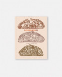 Libro Súper Masa Madre: Guía infalible para elaborar panes exquisitos en casa de James Morton