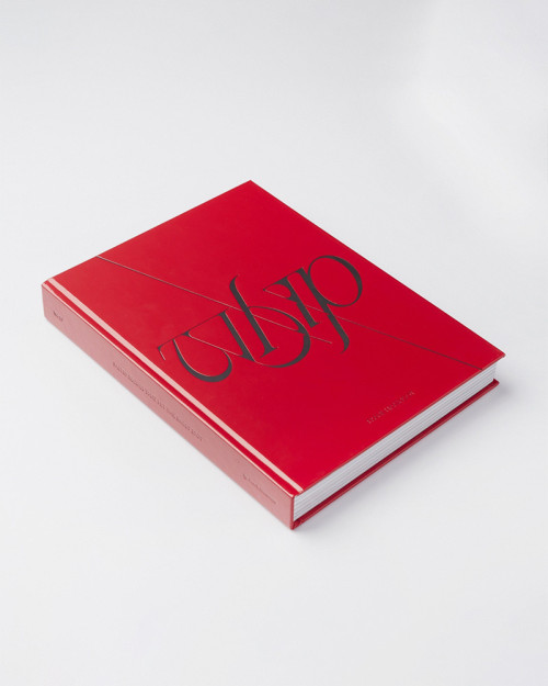 WHIP book by Frank Haasnoot. 50 recipes about pastries, chocolates, ice-cream, travel cakes 2
