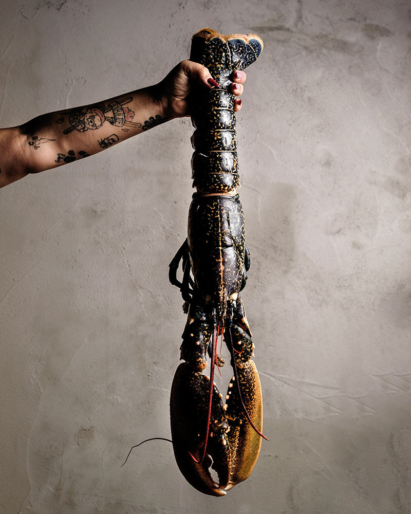 Saber y Sabor 196. Revista de Alta cocina