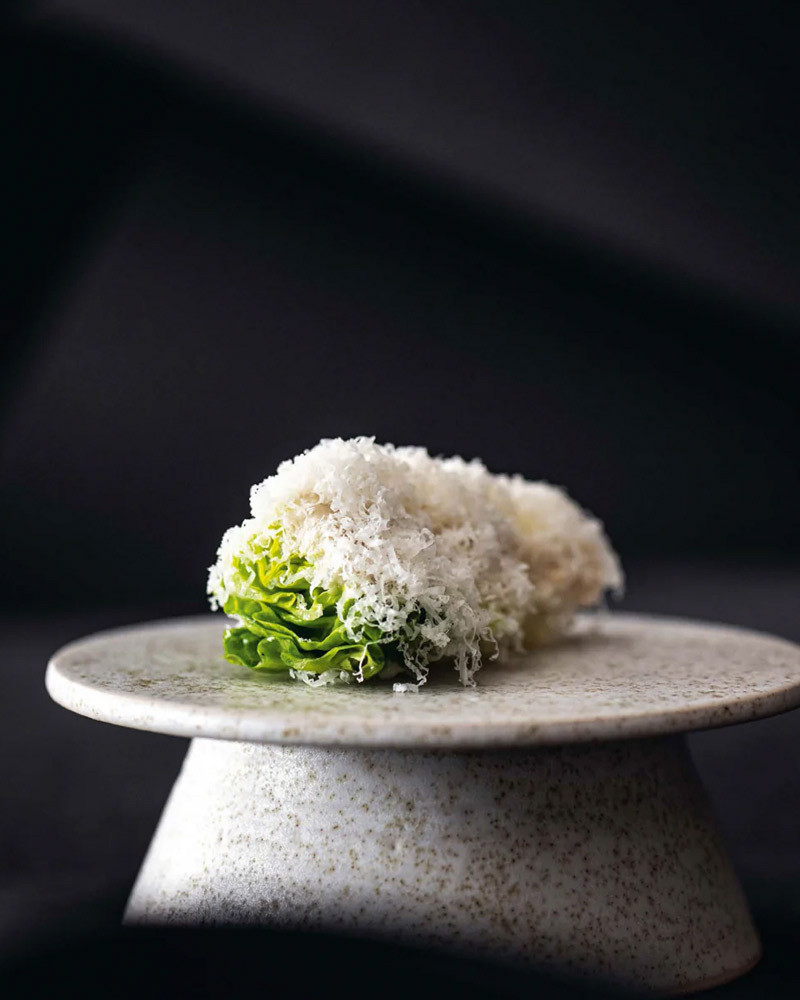 Book Oak The flavours by Marcelo Ballardin