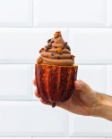 Essence Book by Jesús Escalera, The importance of aromas in the creation of new ice creams and desserts