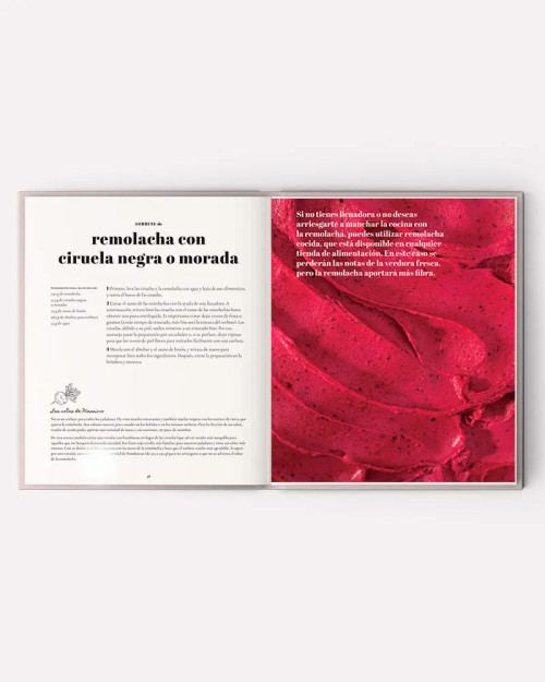 Book Helados: Los secretos del maestro heladero by Delacrem de Massimo Pignata 2