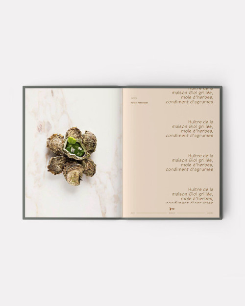 Book ADN Volume 1 by Alain Ducasse, Jean-philippe Blondet, Amaury Bouhours 2