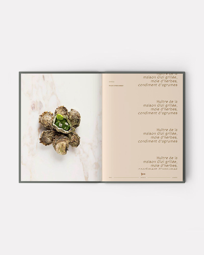 Book ADN Volume 1 by Alain Ducasse, Jean-philippe Blondet, Amaury Bouhours