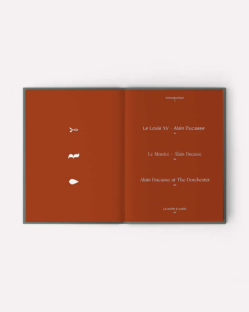 Book ADN Volume 1 by Alain Ducasse, Jean-philippe Blondet, Amaury Bouhours