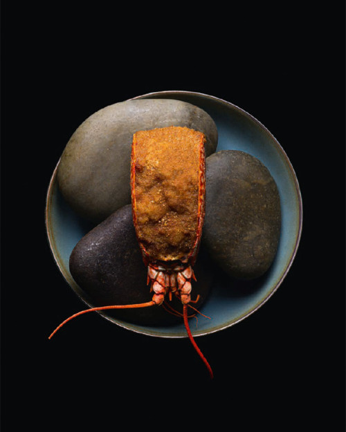 Le Grand Livre de la Mer de Sonia Bichet, Emmanuel Pilon, Nolwenn Corre, Julien Lemarie 2