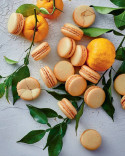 Book Vegan Pastry by Pierre Hermé