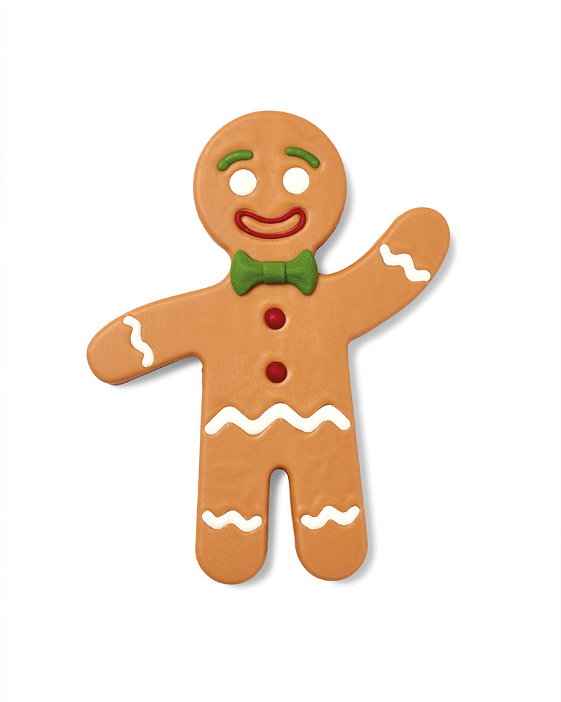 Molde Silicona Gingerbread de David Gil