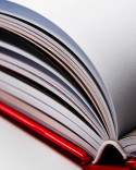 WHIP book by Frank Haasnoot
