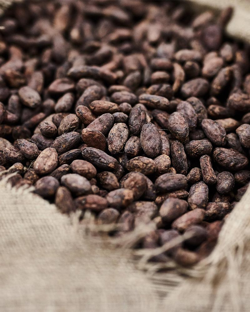 Casa Cacao - Jordi Roca