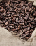 Casa Cacao - Jordi Roca
